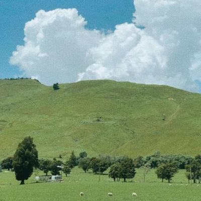 海南保亭县房价